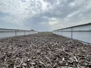 Biofilter met schors